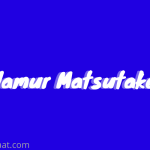 Harga Jamur Matsutake